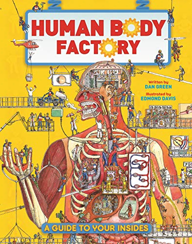 The Human Body Factory: A Guide To Your Insides von Kingfisher